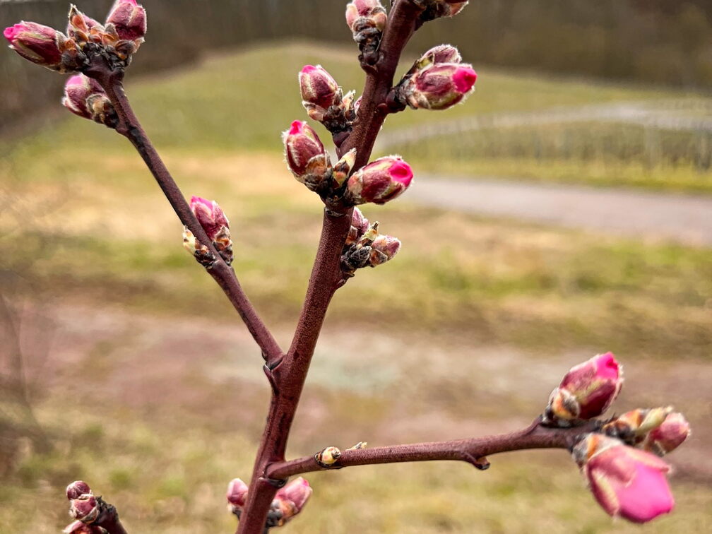 23-03-12 14-39-44 4795